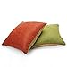 DOZZZ Set of 2 Premium Hypoallergenic Stuffer Pillow Insert Sham Square Form Cushion Polyester, 18