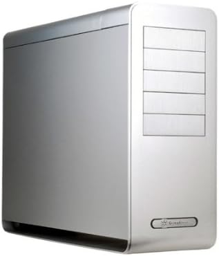 SilverStone Fortress FT02S ATX - Caja de Ordenador, Color Plateado: Amazon.es: Informática
