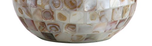 JONATHAN Y JYL1024A Mona 20.5" Mini LED Lamp Cottage,Coastal,Transitional for Bedroom, Living Room, Office, College Dorm, Coffee Table, Bookcase, Seashell