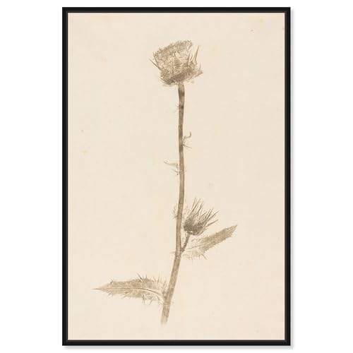 Austere Beauty Canvas Print Botanical Art by Art Remedy, Black Frame, 20 x 30