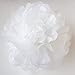 Furuix Bridal Shower Decorations 16 pcs White Navy Blue Grey 10inch 8inch Tissue Paper Pom Pom Paper Lanterns Mixed Package for Blue Themed Party Baby Shower Decoration (White Navy Blue)