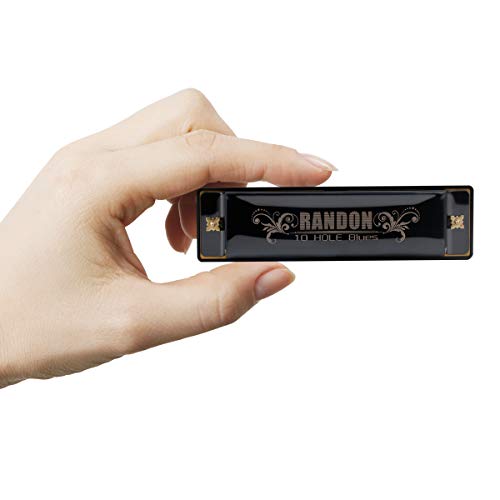 image for Harmonica,Randon Harmonica Key of C Blues,10 Holes 20 Tones Holder,wit