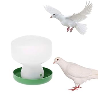 Amazon Com Ringbuu Poultry Drinking Cup Plastic Pigeon Feeder