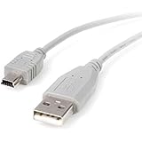 StarTech 1-Feet Mini USB 2.0 Cable - A to Mini B (USB2HABM1)
