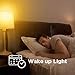 2 Pack Yeelight Smart Light Bulb，Dimmable and Tunable White，App & Voice controll Wi-Fi Smart Bulb，Alexa Compatible，no hub Bridge Switch Required，2700K-6500K A19 60W Equivalent Smart Home LED Bulbs