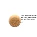 Unpainted Wooden Eggs - for Easter, Crafts and More - 2-1/2
