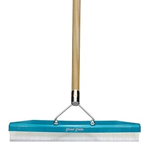 Grandi Groom AB24 Carpet Rake, 18-Inch Head, 54-Inch Handle, Blue
