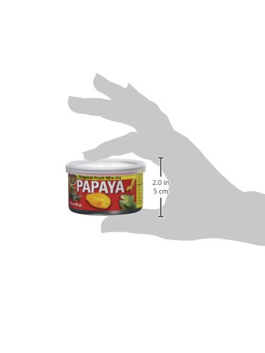 ZOO MED TROPICAL FRIUT MIX-INS PAPAYA REPTILE TREAT 4 OZ – PACK OF 4