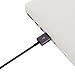 Moshi USB Cable w/Apple MFi Certified Lightning Connector (1M) - Black