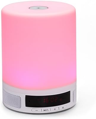 Imesun Touch Lamp Table Lamps for Bedroom Lamps, Desk Lamp Dimmable Warm White Bed Bedside Table Lamps, Portable Touch Control LED Night Light Reading Living Room Lamps