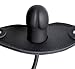 Master Series Inflatable Locking Silicone Penis Gag