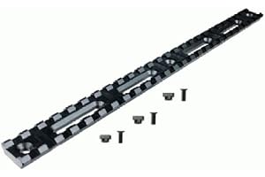 BRIDGEMOUNT Lion Gears Tactical Picatinny Rail, 10" Long with 25 Slots, 3PCs Screws Included