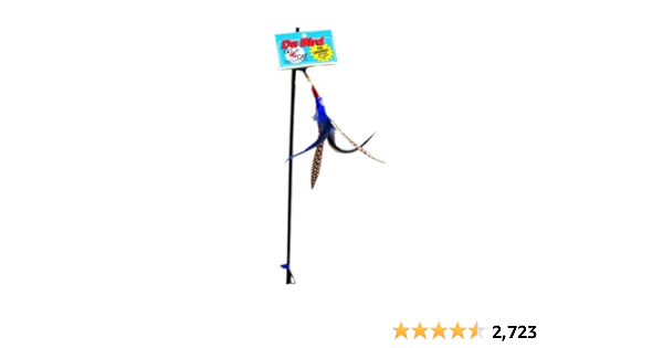 da bird feather teaser