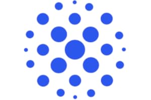 Auto Catalyst Market app. ?norme catalogue de catalyseurs avec prix et photos authentiques. D��couvrez le co?t r��el du catalys