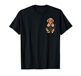 Dachshund in pocket tee shirts