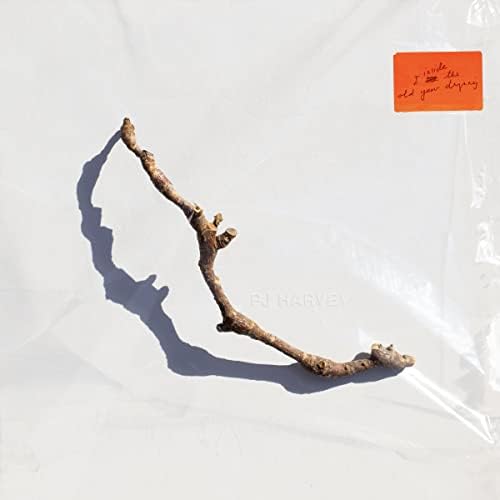 PJ Harvey - B-Sides, Demos & Rarities[6 LP Box Set] - Amazon.com Music