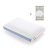 Polar Sleep Memory Foam Pillow for Sleeping,2-in-1 Ventilated Pillow for Neck Pain, for Back, Stomach, Side Sleepers,Hypoallergenic Antimicrobial Ergonomic Orthopedic Cooling Gel Pillow, CertiPUR-US …