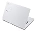 Acer Chromebook13 CB5-311-T9B0 (13.3-inch Full HD, NVIDIA Tegra K1, 2GB)