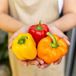 Creative Farmer Vegetable Seeds Shimla Mirch (Mixed Colour) Seeds - Capsicum ?Seeds Seeds Organic Home Garden Seeds