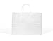 GIFT EXPRESSIONS White Kraft Paper Bags, Kraft Gift Bag, Premium Quality Paper (Sturdy & Thicker), Biodegradable, Party Bags, Shopping Bag, Kraft Bags, White Bags (12 CT Wide, White)