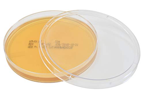 Malt Extract Agar with 0.01 Percent Chloramphenicol, for The Cultivation of Fungi, Inhibits Bacteria, Deep Fill, 15x100mm Plate, Order by The Package of 10, by Hardy Diagnostics - Thumbnail 4