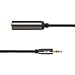 VCE 2-Pack Gold Plated 3.5mm 1/8 inch Male to 6.35mm 1/4 inch Female Audio Jack Adapter-8inch