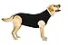 Suitical Recovery Suit for Dogs - Dog Surgery Recovery Suit with Clip-Up System - Breathable Fabric for Spay, Neuter, Skin Conditions, Incontinence - 26.4-29.9 Inches Neck to Tail - Large, Black