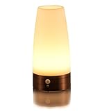 ZEEFO Retro LED Night Light Wireless PIR Motion Sensor, Activated Step Lighting Lamps, Indoor/Outdoor Battery-Operated Sensitive Portable Moving Table Lamp for Kids Room, Hallway