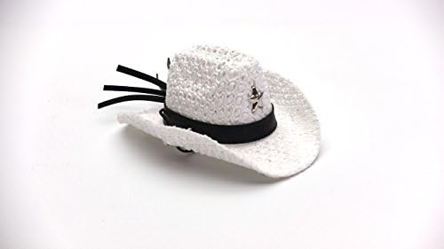 Carolina Designer Dragons' Bearded Dragon Cowboy Hat, White