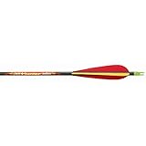 12 - Pk. Beman ICS Hunter Junior Arrows with Vane