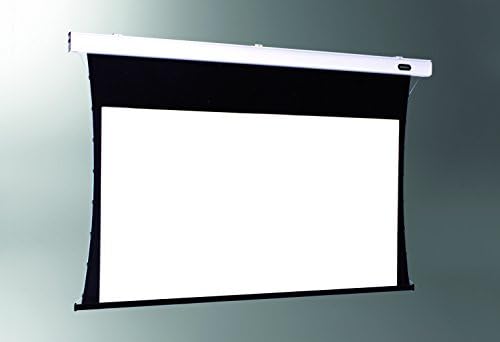 Pantalla motorizada tensionada celexon Expert 220 x 124 cm: Amazon ...