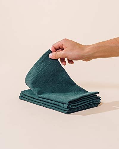 Caldo Linen Dinner Napkins - Soft and Durable Cloth - 4 Pack - 20x20 inch (Spruce)