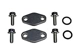 Billet Oil Cooler Block Off Plates GSXR 1300 GSX1300R Hayabusa 99-15 551195
