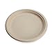 Earth's Natural Alternative Eco-Friendly, Compostable Plant Fiber