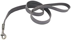 Coastal Pet Circle T Rustic Leather Dog Leash, 1" x 4', Slate Grey