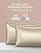 Sable Silk Pillowcase, 2 Pack Natural Mulberry Silk Pillowcases for Hair and Skin, Soft Breathable Smooth 19 Momme One-Sided Silk Pillow Cover, Gold, Queen Size