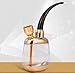 H.E.S.R. Mini Hookah Liquid Filtered Single Chamber Water Pipe Smoking Shisha