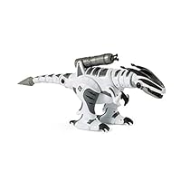 NBD Corp RC Robot Dinosaur That