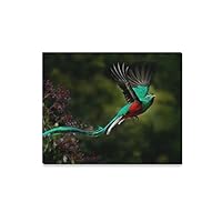 JTMOVING Wall Art Painting Flying Resplendent Quetzal Pharomachrus Mocinno Savegre Prints On Canvas The Picture Landscape Pictures Oil for Home Modern Decoration Print Decor for Living Room