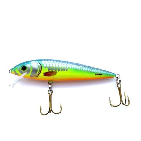 EVERBAY DORADO Wobbler Fishing Lure - Artificial Hard Crankbait - Fishing Tackle, Topwater Life-Like Swimbait for Pike Zander Catfish Trolling and Long Cast in Freshwater, Floating - CLASSIC 11cm PR