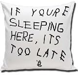 LightCreative drake If You re Reading This It s Too Late parody album cover Custom Pillow 18X18 TWO SIDE