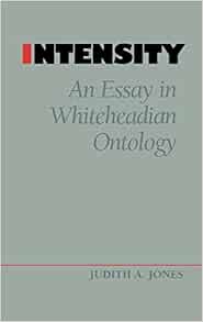 Intensity an essay on whitehaven ontology 04 image