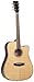 Tanglewood SolidTop Spruce/Rosewood Guitar, Natural Gloss with B-Band Pickup (TGRD-CE)
