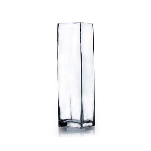 Athena's Garden Fresh Cut White Orchids Bunch with Glass Vase,