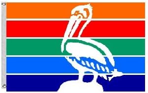 City of St. Petersburg Flag and Banner Size 3x5 Feet