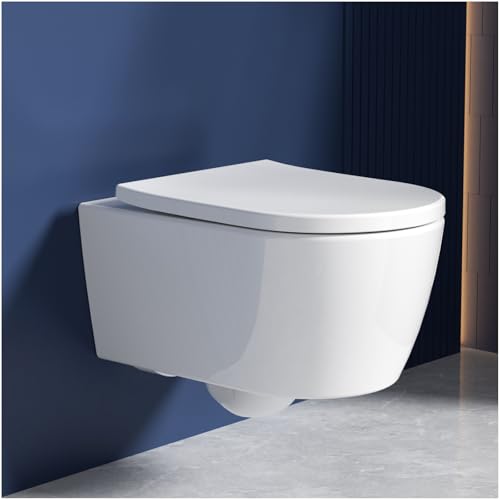 Rainsworth Hänge WC Spülrandlos Einloch Spülung Toilette, Weiß 53cm lang
