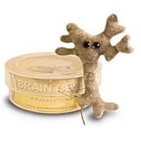 GIANTmicrobes Brain Cell (Neuron) Petri Dish