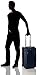 Victorinox Werks Traveler 5.0 WT Softside Upright Luggage, Navy Blue, Carry-On (22