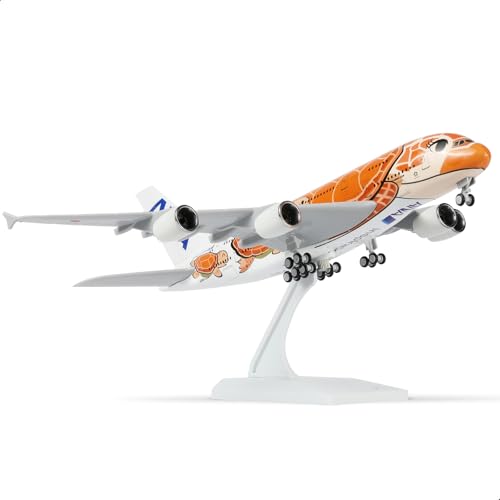 08.ana Orange Turtle