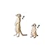Ania Animal Pack, Meerkats